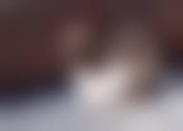 dogs fuck litlle girls|Turkish Girl Fuck Little Dog - BestialitySexTaboo - Bestiality Sex Taboo