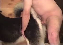 Animal sex jpg x Animal sex