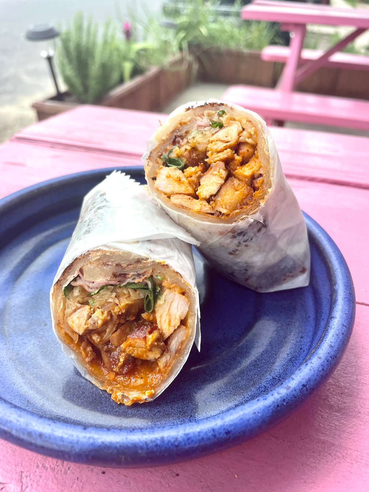 Plume Algiers by null