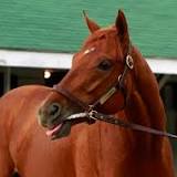 Pegasus World Cup, Gun Runner, Gulfstream Park