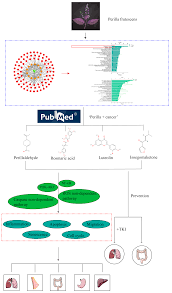 seo woo fake nude|KISS imPRESS No Glue Needed Press On Nails, Kids Glow in the Dark, WOOHOO,  Black, Kids Squoval, 20 Count - Walmart Business Supplies