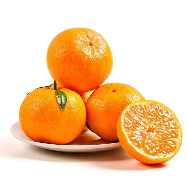 Lotus Food Company by null