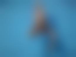 naked favdolls  |naked favdolls pimpandhost