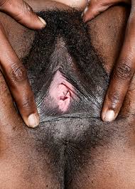 Black hairy pussy porn pics and videos jpg x Xxx black hairy pussy