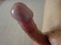 Watch dick head dickhead dick hard handjob porn spankbang jpg x Head dick