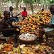 Ghana secures $1.8 bn for 2016/2017 cocoa purchases