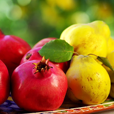 Coronado Taste of Oils by null