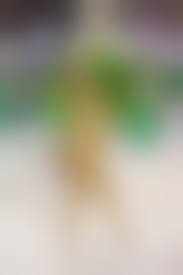 brazilian nudists|Young junior miss nudists pageant brazil | paulblasaqevel1972's Ownd