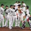 WBC日本代表