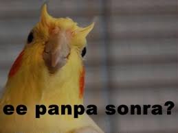 images