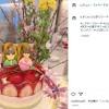 杉浦太陽、中2長女の手作り“ひな祭りケーキ”を大絶賛 プロ級の腕前 ...