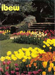 icdn.ru girl nude cp|24 May 1941 - Advertising - Trove