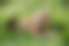 pisya.wap.ua naked 4|Busty White Girl Anastasia Hangs Around Farmers Fields In The Nude - R18hub