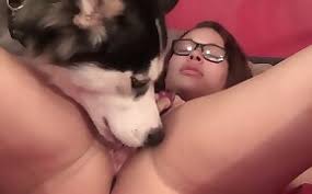 Gay goloso teniendo sexo con un perro travieso jpg x Sexo con perros