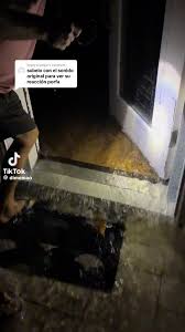Alligator fuckhouse jpg x Alligator fuckhouse