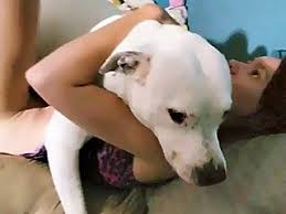 Beautiful strong white dog fucks her slim naughty owner zoo porn jpg x Dog fuck girl