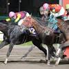 【ジャパンダートダービー】船橋のキャッスルトップがＪＲＡ勢 ...