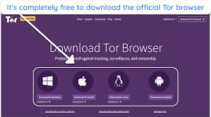 Surfing the sultry web unveiling the best browsers for your naughty needs porn dude blog png x Best browser for