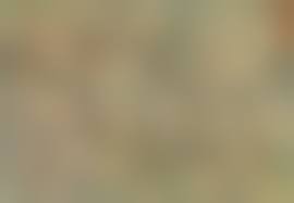 体位48手|手すさびに紅き萱穂を: 改訂版・授乳四十八手図（前半）