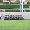 【エリザベス女王杯・直前馬場情報】強まる雨の影響は？ 人気馬の ...