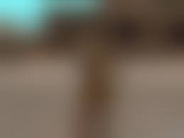 Ls-mod nude|Nude Mod for girlfriends for GTA San Andreas