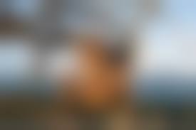 island ls nude|Chelsea Hotel Nude