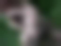 野外露出 ryuu 4熟女|Amazon.co.jp: 熟女の露出 vol.29 AI熟女誌 eBook : AI SAKURA: Kindle Store