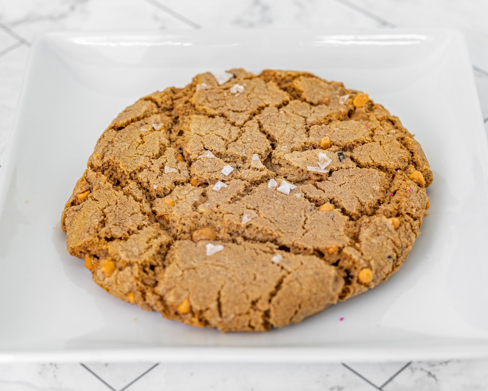 T-Rex Cookie Company by null