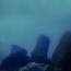 Los misterios ocultos de las profundidades oceánicas ile ilgili video