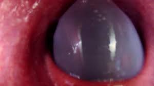 Woman coprophagy play web camera dildo dirty anal dildo shit jpg x Anal camera