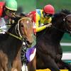 【ヴィクトリアマイル(G1)】過去の激戦を振り返る / 名レース ...