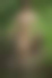 野外露出　熟女　おばさん　無修正|おばさん露出狂の根性がすごい…だるだるに崩れた恥ずかしい裸体を堂々とさらす野外露出エロ画像