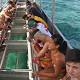 Visitors rush to the Great Barrier Reef to catch it before it's gone 