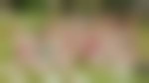 Group spreading pussies|Naked girls groups nude spread pussy - Ehotpics.com