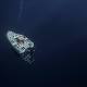 Deep-Sea Volcano a Hotspot for Mysterious Life 