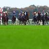 競馬AIが府中牝馬ステークスを大予想 厳選ワイド3点＆3連複10点で ...