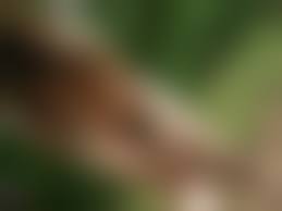 野外露出 ryuu 4熟女|貴婦人 野外露出 4 - エロ動画・アダルトビデオ - FANZA動画