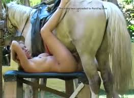 Cow sluts huge horse dildos octokuro jpg x Uses horse dildo