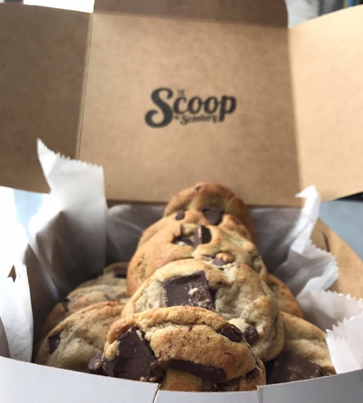 The Scoop N Scootery by null