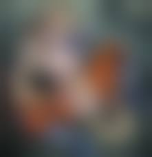 эротики изврат joyreactor.cc