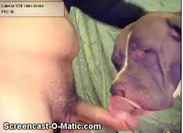 Dog man fucking female husky dog very hard zoophilestracker extrem sex and taboo porn php x Man fuck female dog