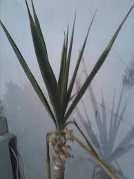 s4.postimg.org Pimpandhost imagesize:768x1024|Debolestis Shapeways shop - Page 5 - PC Hardware and Related Software - ED  Forums