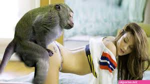 Monkey animal porn jpg x Monkey fuck