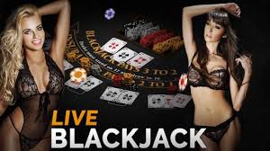 Online sexy blackjack jpg x Online sexy blackjack