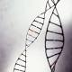 More ancient viruses lurk in our DNA than we thought 