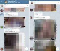 N번방 원본|‥서울대 N번방 주범 징역 10년