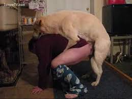 Man fucking dog in its tight fuckhole jpg x Man fucks his dog