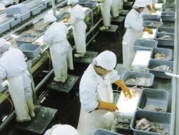 Se prevé una mayor creación de empleos y mejoras en los salarios durante el año 2012