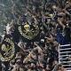 LAFC quickly acts after homophobic chant during MLS match - Chicago Tribune