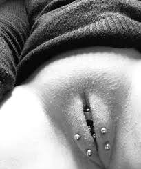 Rule if it exists there is porn of it grrrwolf jpg x Labia piercing